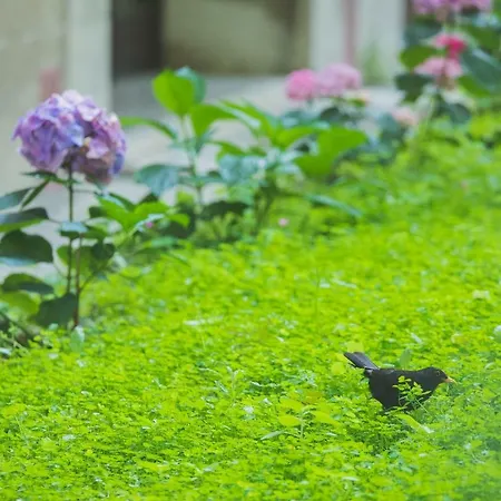 Luxury Padre Pio * Spalato