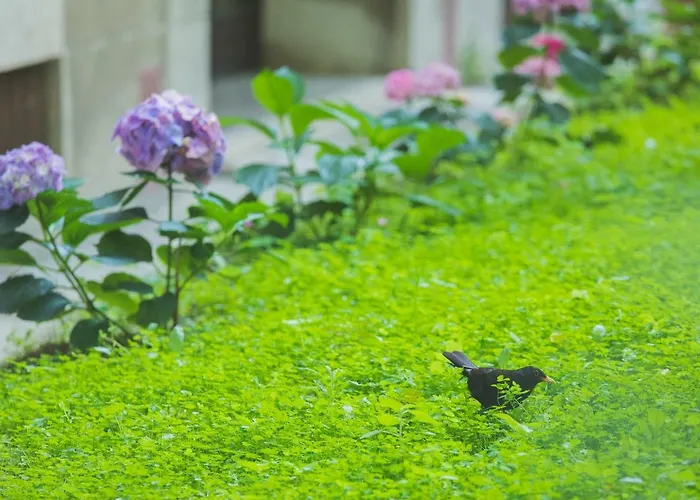 Luxury Padre Pio * Split